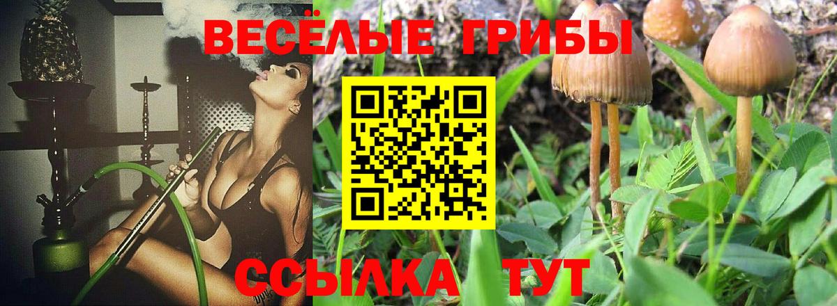 Галлюциногенные грибы ЛСД  Вход с VPN  Галлюциногенные грибы Psilocybe  Великий Устюг 